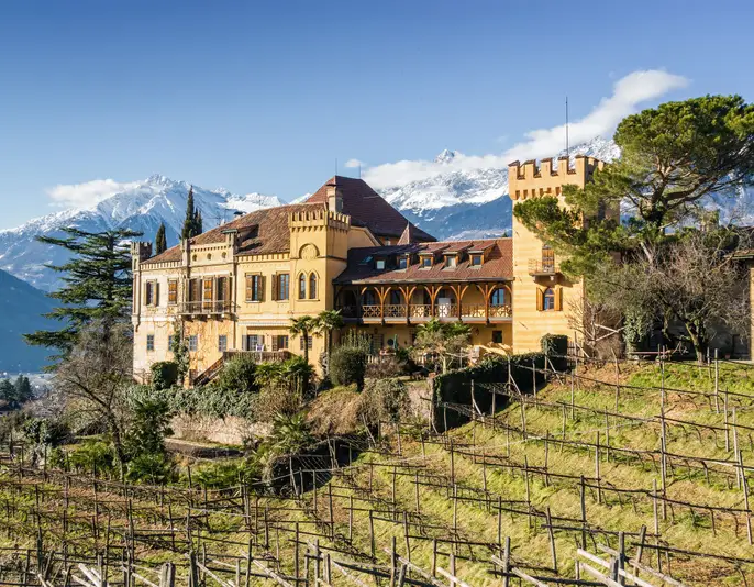 Sunny view of vineyards valley of castle Ramets near Merano, Trentino-Alto-Adige region, Italy.